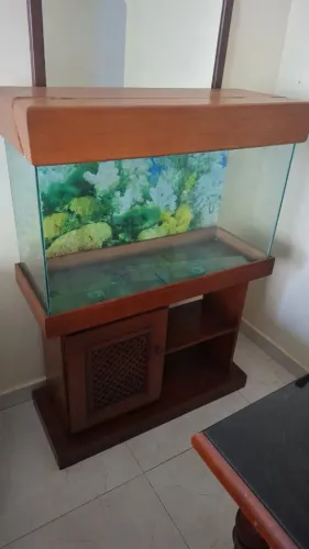 Vendo aquário