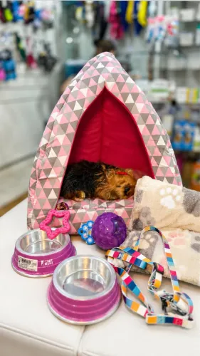 CAMA IGLU TOCA (caes e gatos)