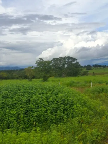 FAZENDA 327 ALQUEIRES - COLINAS DO SUL/GO