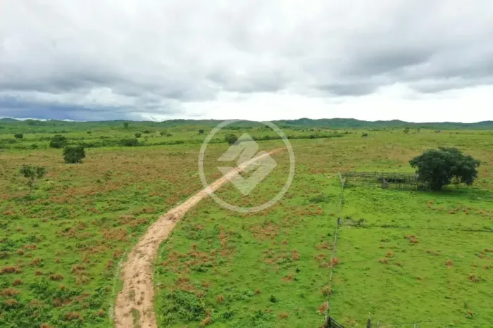 FAZENDA ROSÁRIO OESTE codigo: 285993