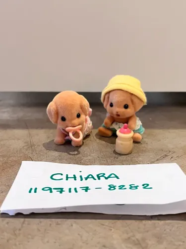 Sylvanian family cachorros bebês