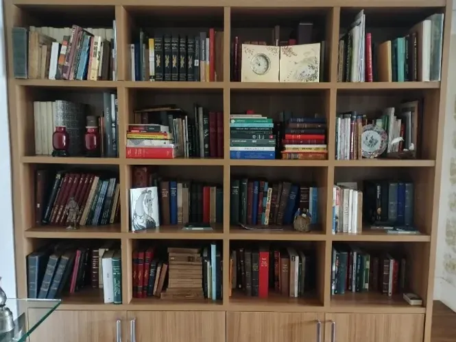 Livros / Barueri SP
