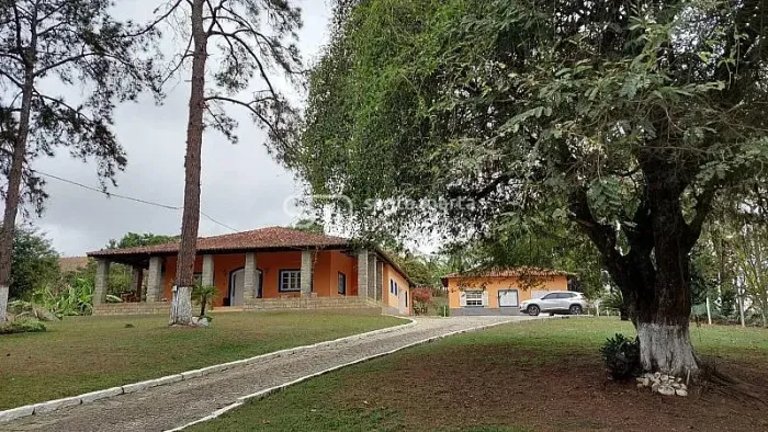 FAZENDÃO 255 ALQUEIRES PARA LEITE/CORTE - CRUZEIRO - SP