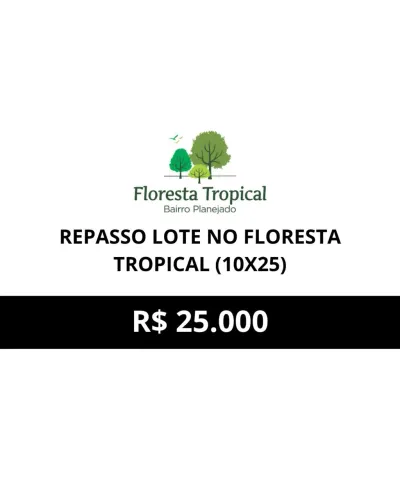 Repasso lote Floresta Tropical