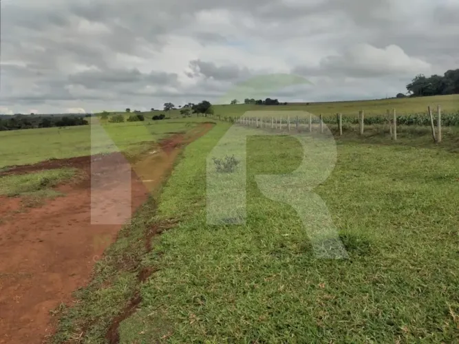 Fazendinha de 12 alqueires cultura dupla aptidão em Buriti Alegre GO
