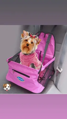Cadeirinha Pet