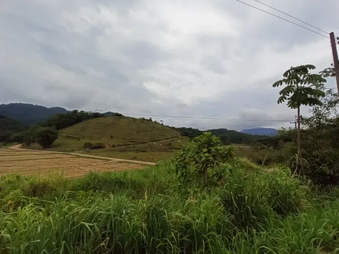 Terreno - Jaraguá do Sul - SC - Nereu Ramos