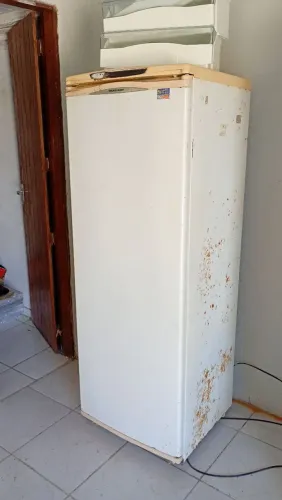 Freezer vertical
