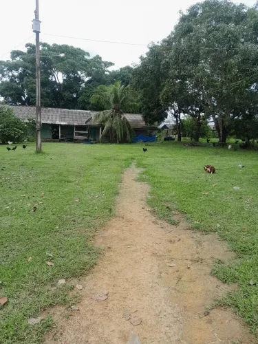 Lindo sítio