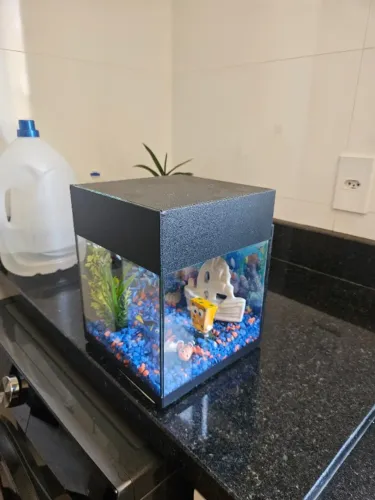Aquário completo decorado
