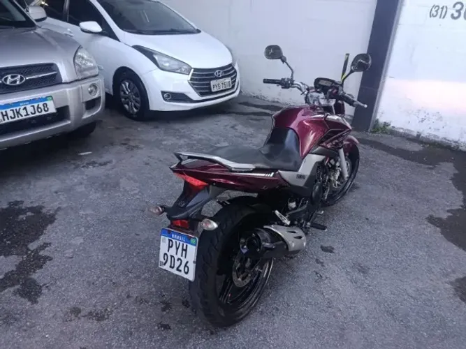FAZER VINHO 250CC - LIMITED EDITION