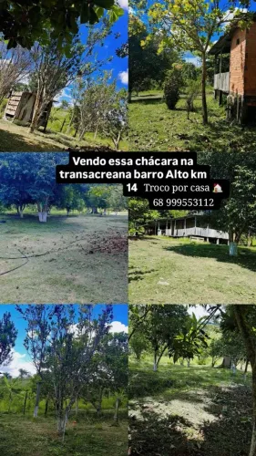 Vendo o