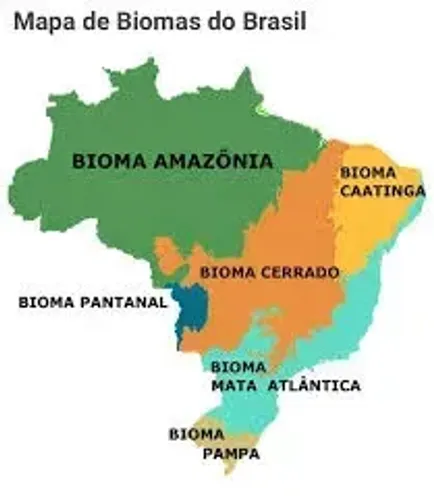 BIOMA AMAZÔNICO: Área de terras à venda de 2 mil hectares com ICMBio.