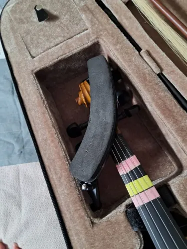 Violino