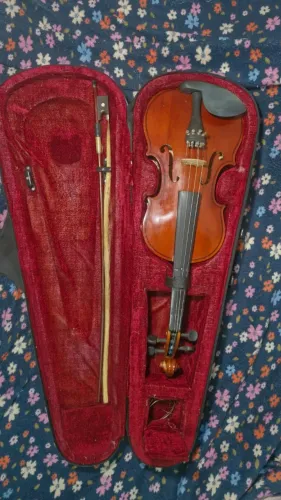 Violino