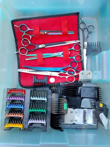 Kit profissional para tosa em cães 