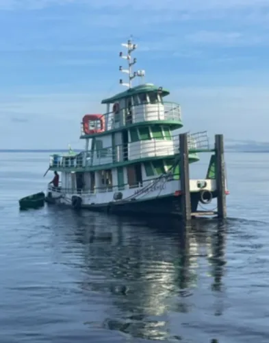 Empurrador ferro 550 hp vendo 