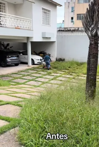 Jardineira *88