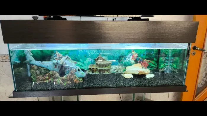 Vendo Aquários completos de 300 e 200 litros