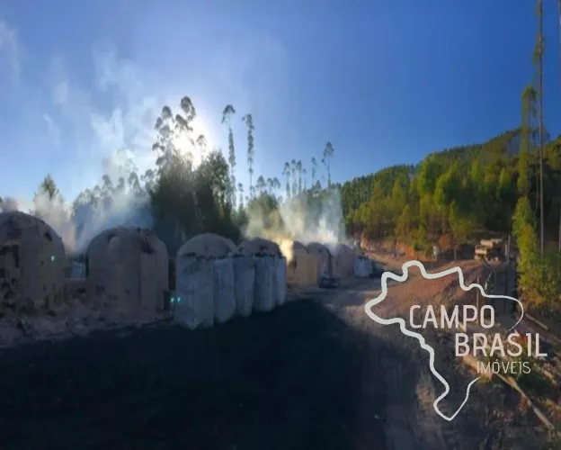FAZENDA 165 HECTARES EM CARVALHOS COM POTENCIAL TURÍSTICO E CARVOEIRO!