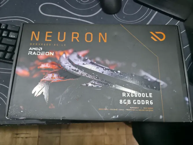 PLACA DE VIDEO RX6600 8GB