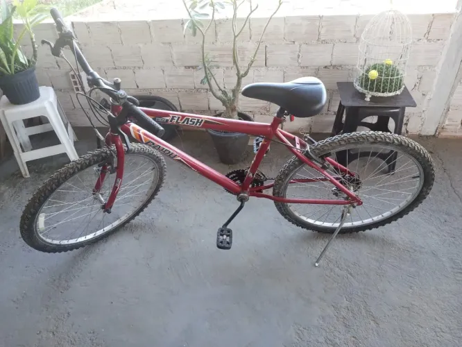 bicicleta