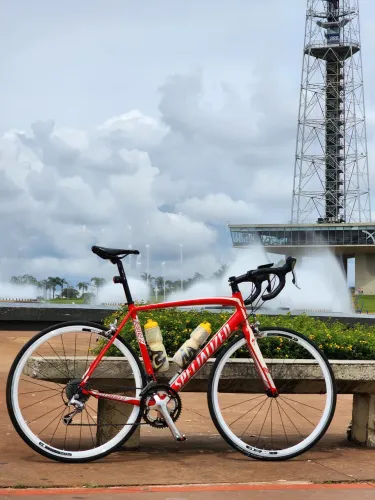 BIKE SPEED Specialized Allez 56