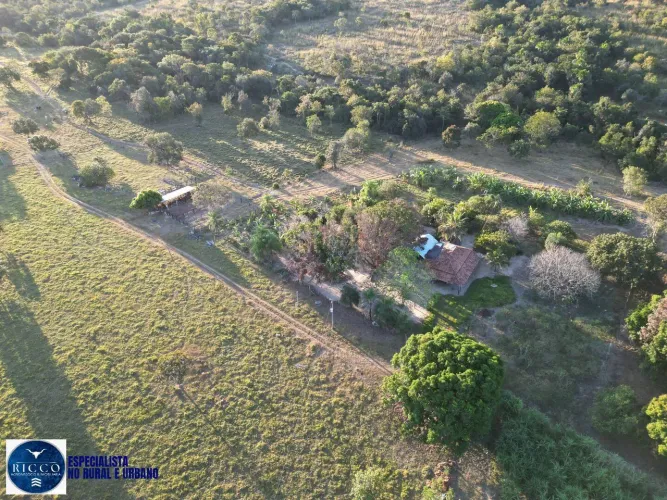 Fazenda à Venda em Sandolândia - TO | 464 Hectares | Excelente Oportunidade