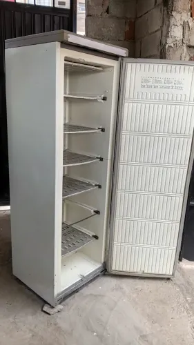 Vendo freezer com entrega grátis