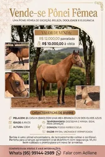 Vendo Pônei