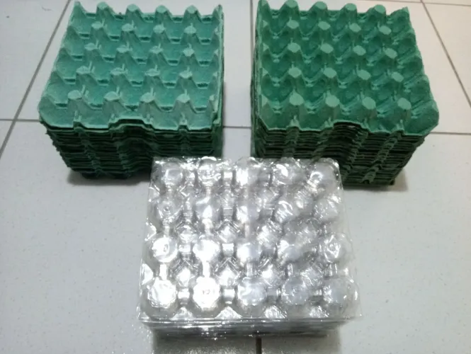Kit 40 embalagens de 20 p/Ovos com tampa plastica