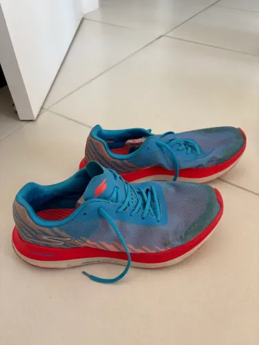 Tenis