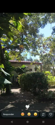 Lindo sítio no Tajipuru