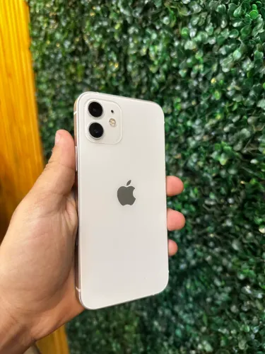 iPhone 12
