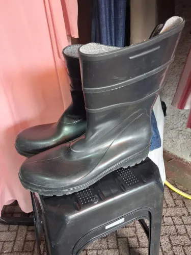 Bota