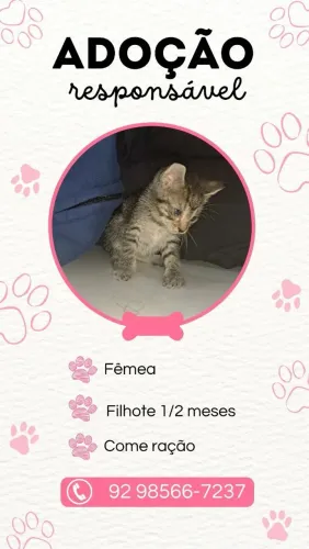 Adoção responsável