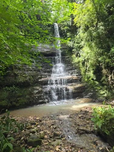 Santuário Particular: 16,8 Hectares com Cachoeira Exclusiva e Nascentes Próprias