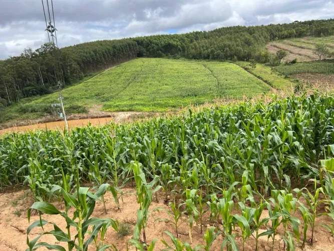 SÍTIO À VENDA EM PIEDADE/SP - EXCELENTE PARA AGRICULTURA - ÁGUA EM ABUNDÂNCIA
