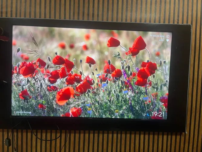 Tv semp 55
