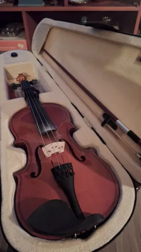 Violino