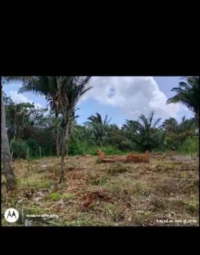 Terreno arborizado, Praia Fortalezinha