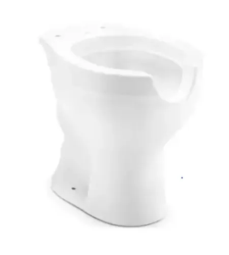 Vaso sanitário especial