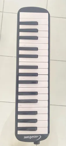 Escaleta da marca Custom junto aos acessórios e maleta original