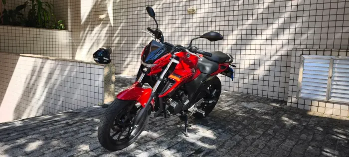 FZ 25 2025