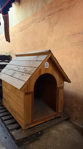 Casinha de cachorro porte médio/grande