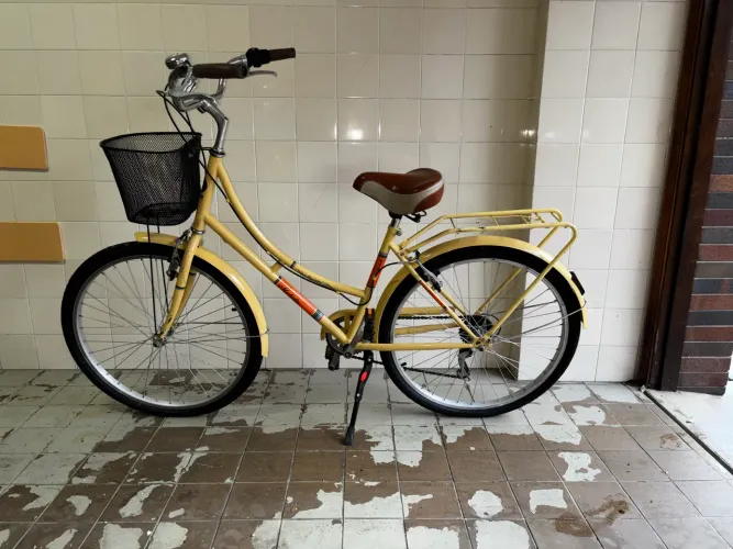 Bicicleta Mobele Imperial retrô e vintage no clássico estilo holandês (Dutch Bikes)