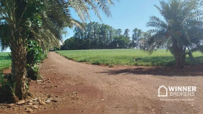 Sítio com 2 dormitórios à venda, 242000 m² por R$ 6.400.000,01 - Centro - São Jorge do Iva