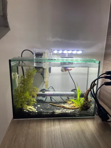 Aquário 9 L