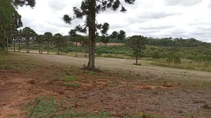 Excelente área rural frente para Br 373