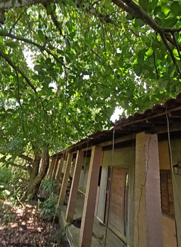 Vendo chácara em Pilar próximo a rotatória de marechal - AL